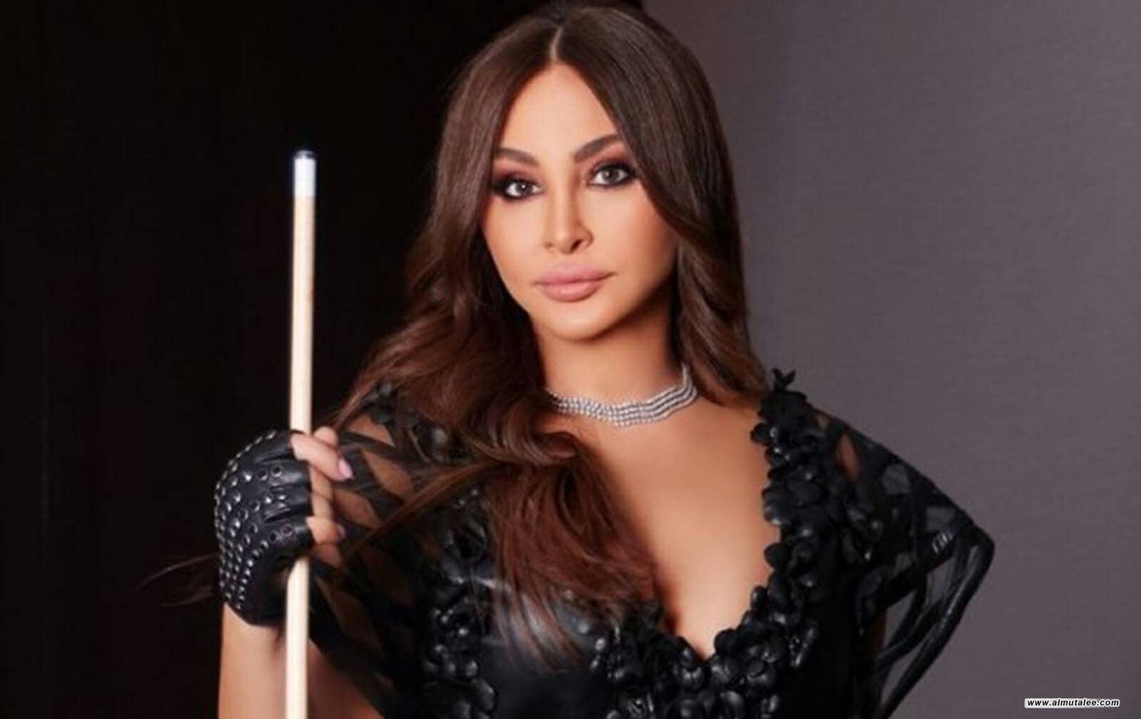 إليسا تكشف عقدتها الفنية وتتحدث عن شامي وتوليت